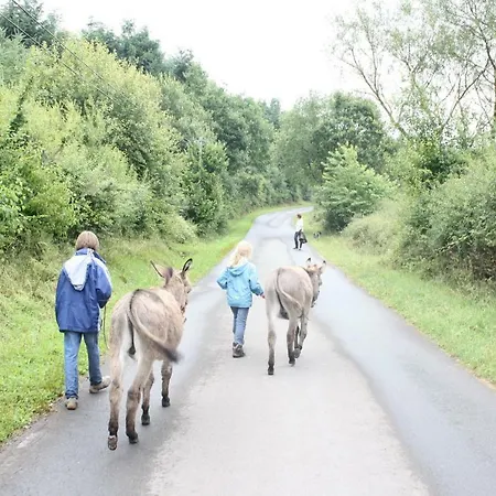 Densborner Wassermuhle Prázdninový dům *
