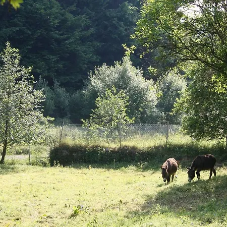 Densborner Wassermuhle Prázdninový dům
