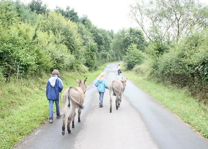 Densborner Wassermuhle Dom wakacyjny *