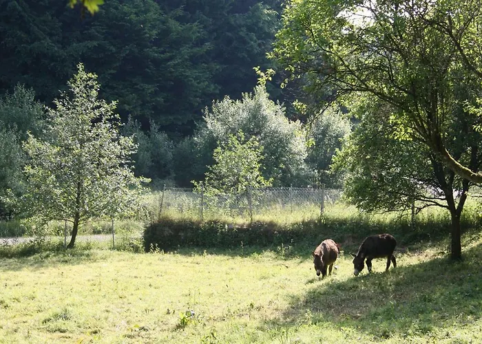 Densborner Wassermuhle Dom wakacyjny